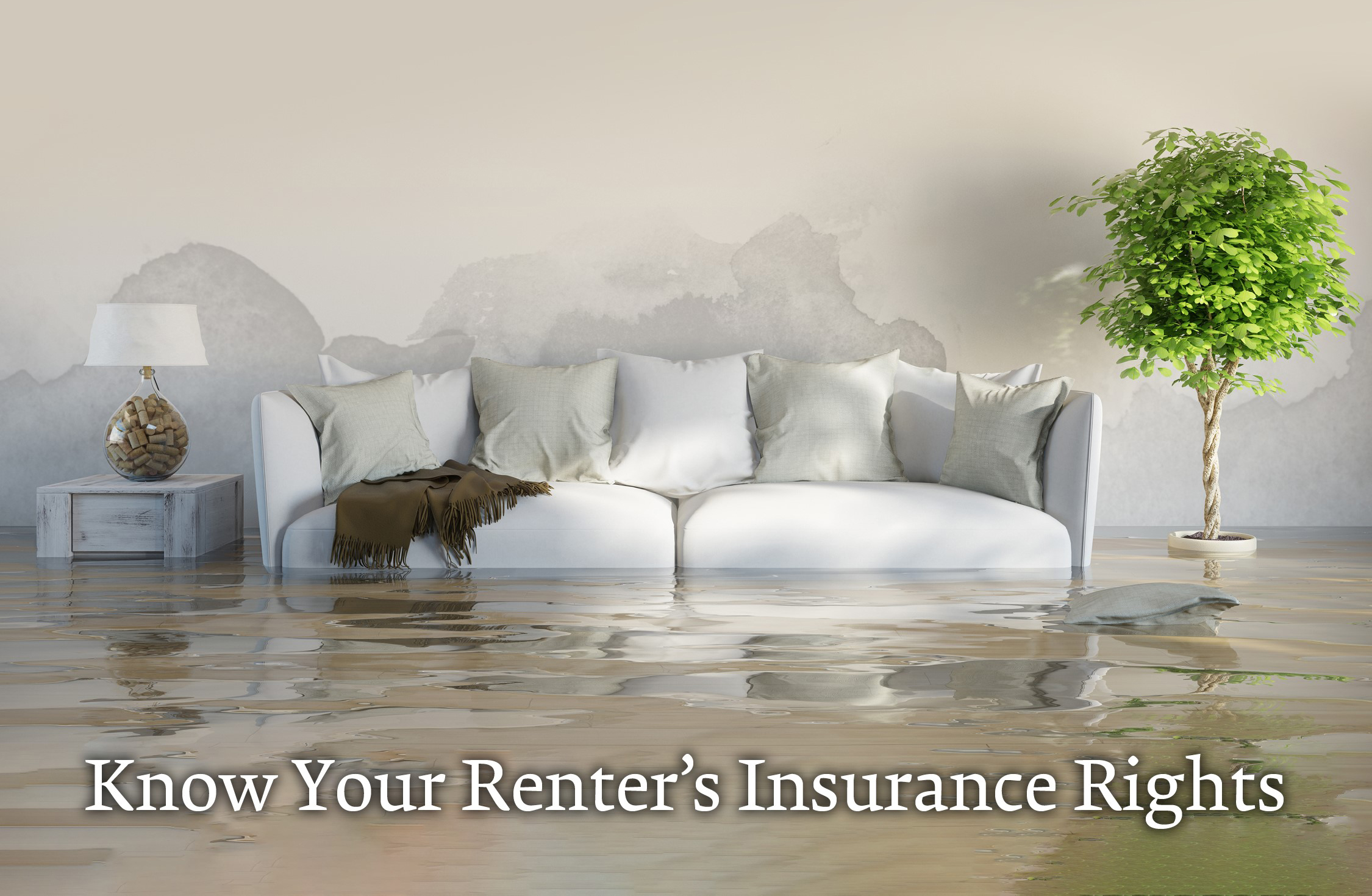 Know your renters insurance rights